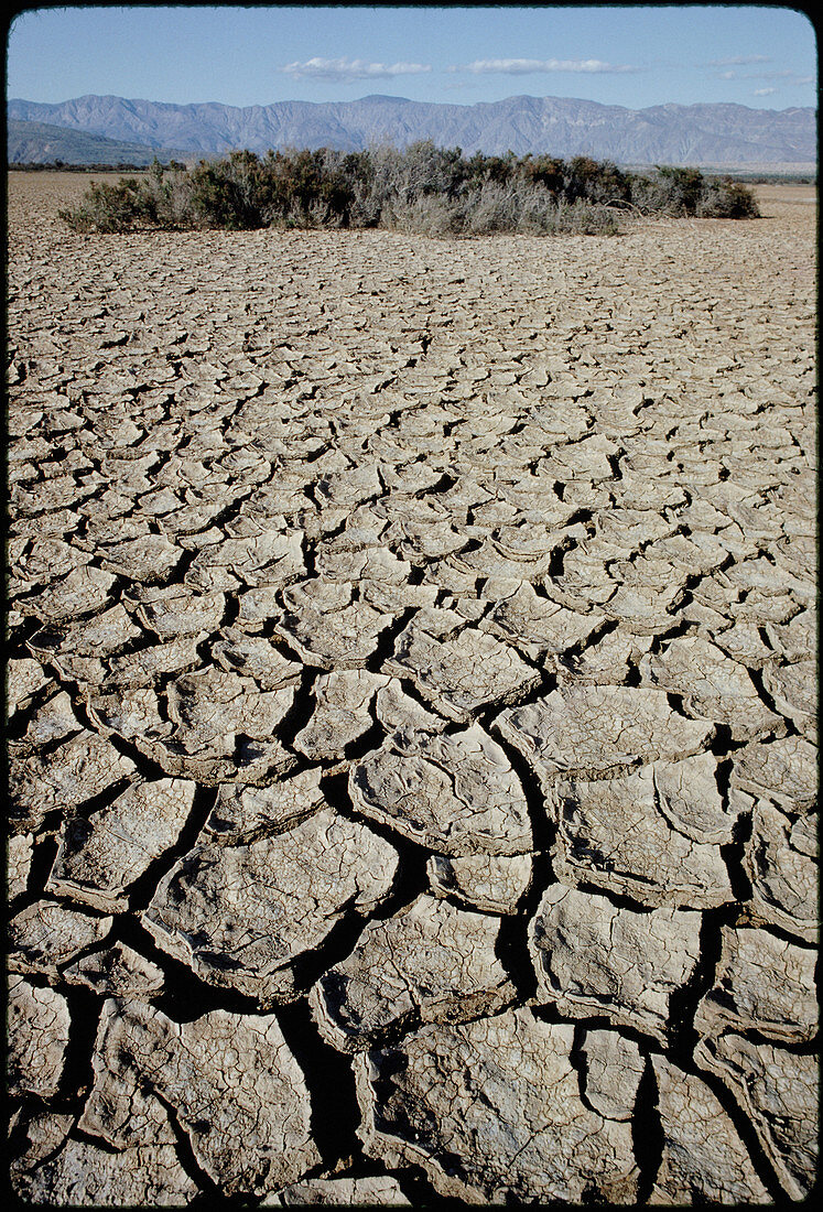 Cracked bed of dry lake,Anza-Borrego Desert,USA