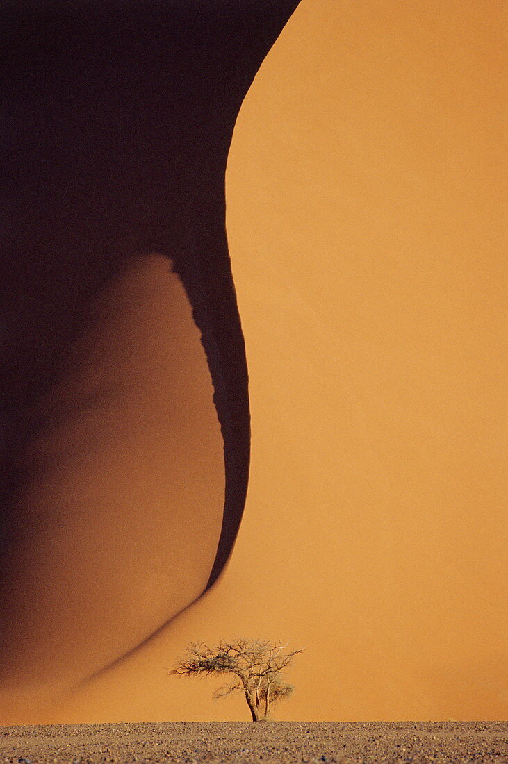 Sand dune and shadow