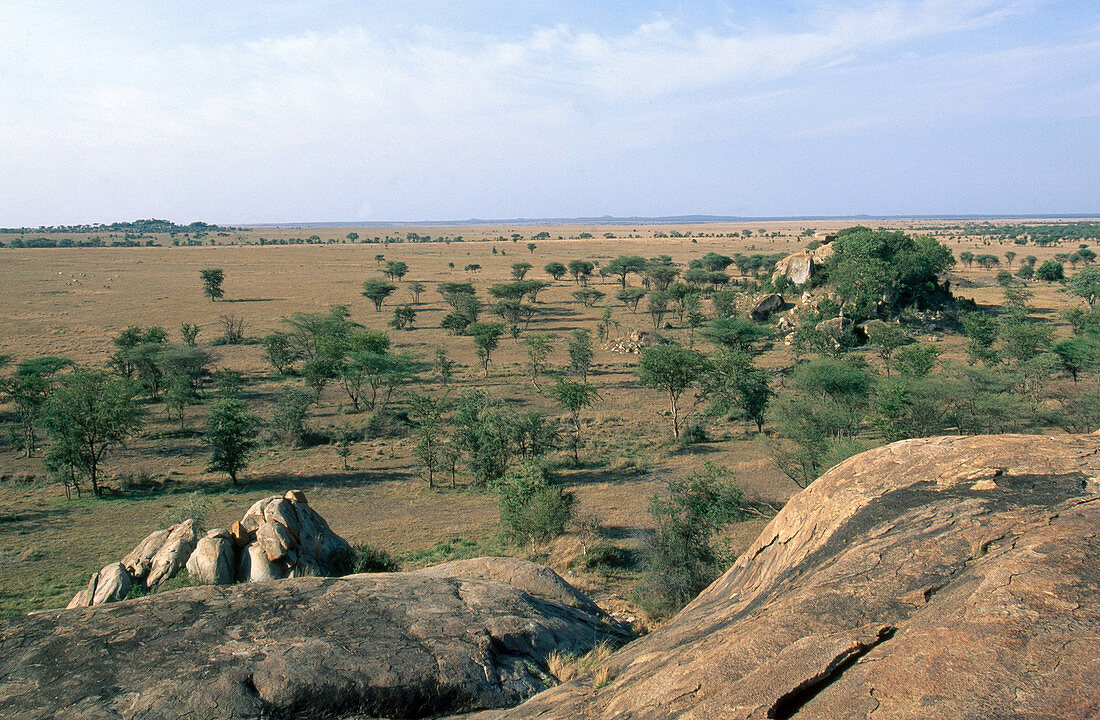 'Serengeti Plains,Tanzania'