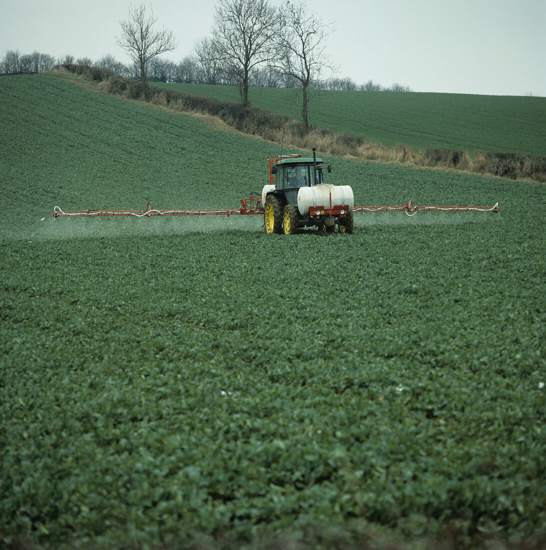 Tractor Spraying Oilseed Rape Crop