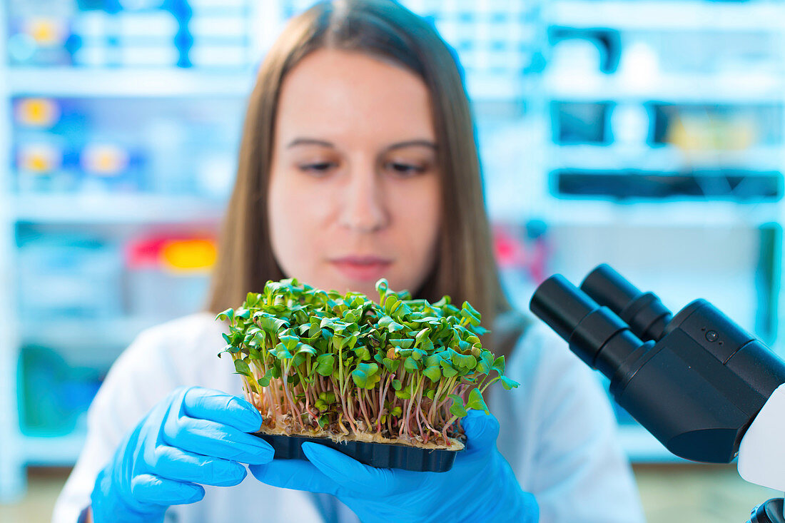 Female biologist holding seedlings