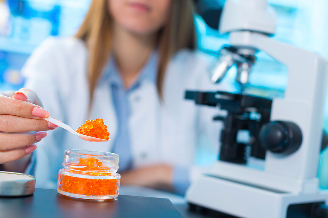Scientist testing caviar in a lab