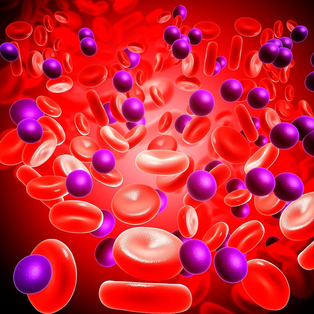 Red blood cell and bacteria,illustration