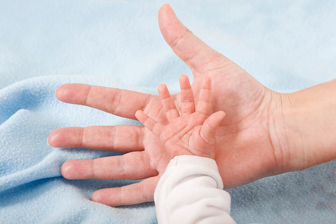 Parent holding newborn baby's hand