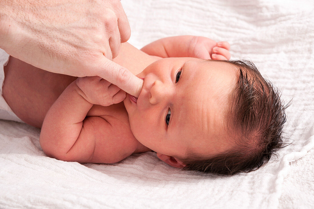 Newborn baby sucking parent's finger