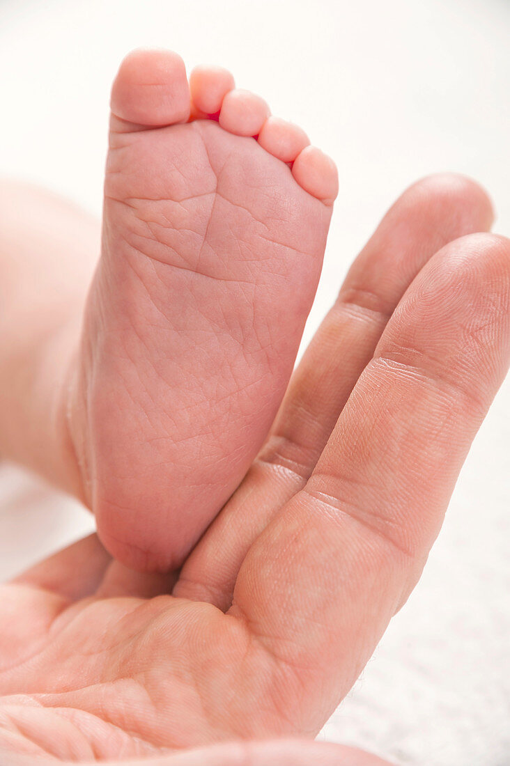Parent holding newborn baby's foot