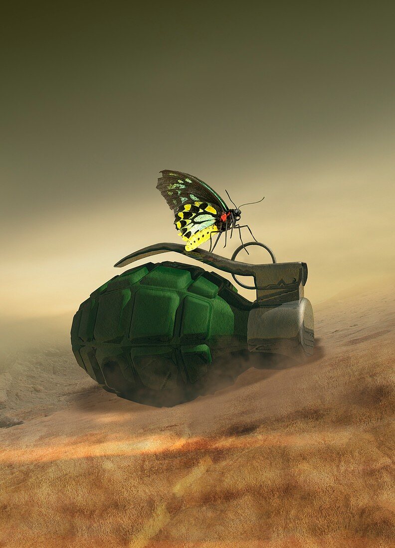 Butterfly on a hand grenade,illustration