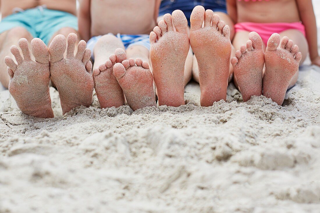 Family sitting on beach