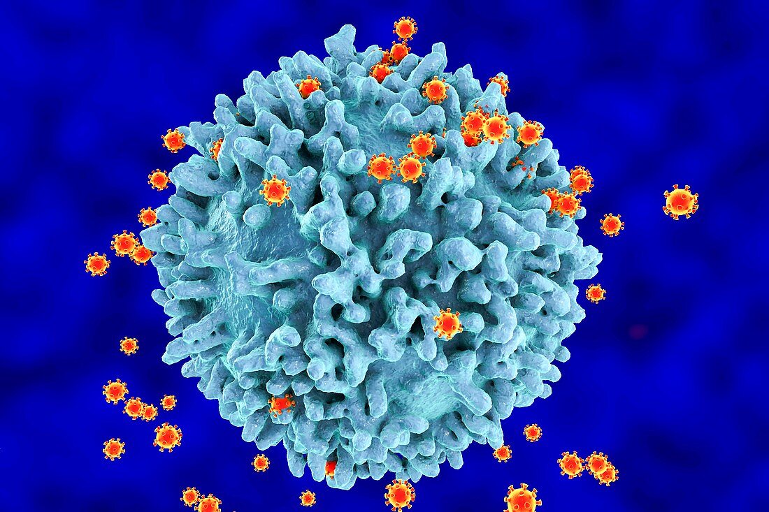 HIV viruses,illustration