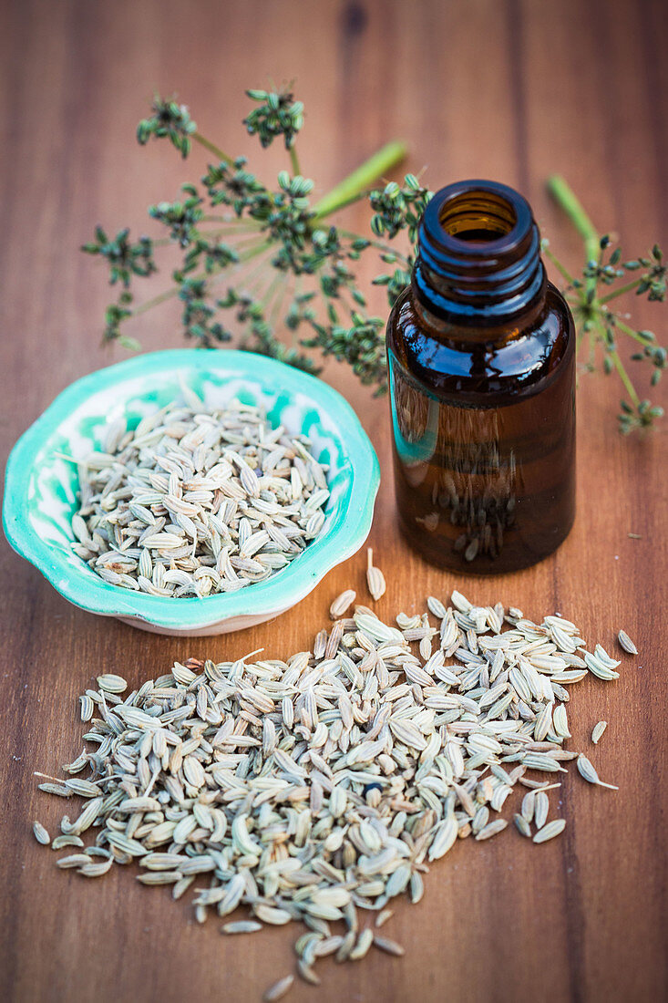Essential oil of fennel