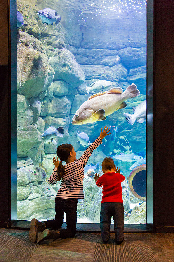 Kids visiting an aquarium