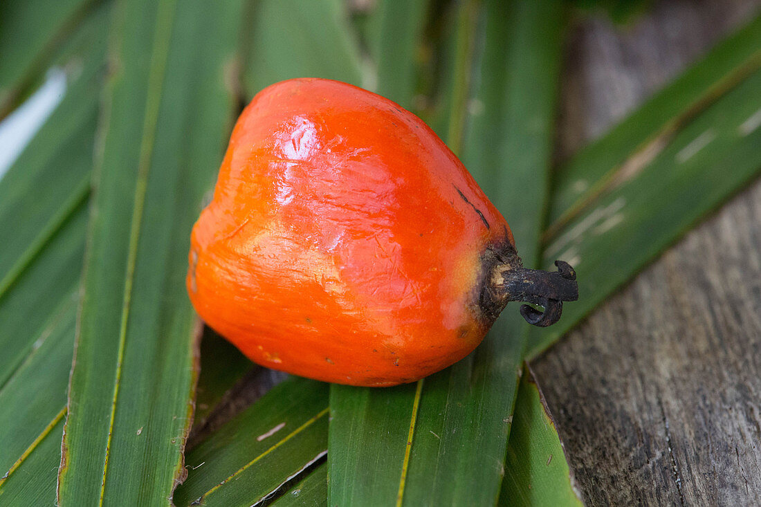 Palm nuts