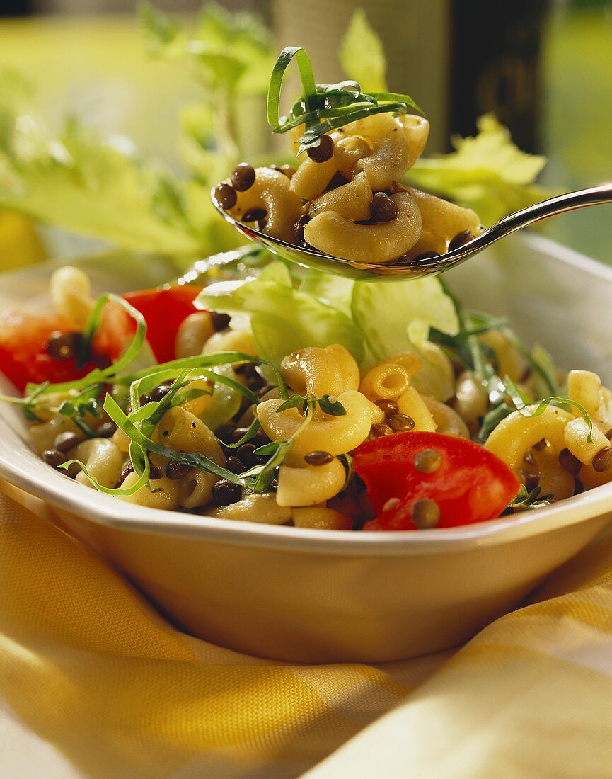 Pasta salad with lentils, vegetables and sorrel