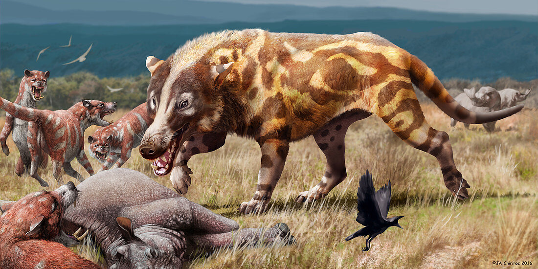 Andrewsrchus prehistoric mammal, illustration