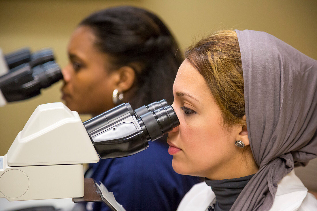 Women using microscopes