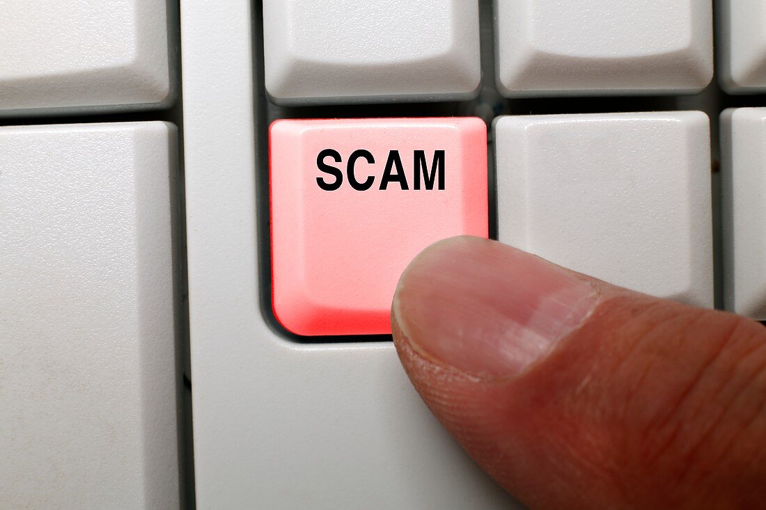 Online scam, conceptual image