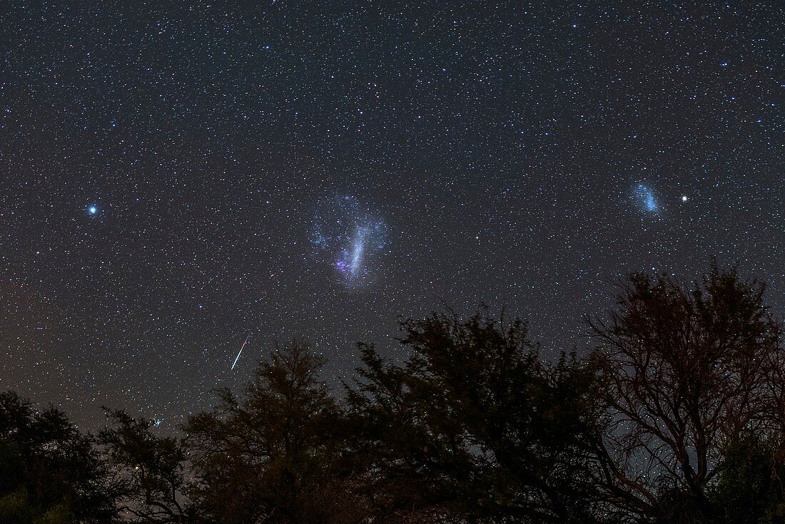 Large and Small Magellanic Clouds over trees