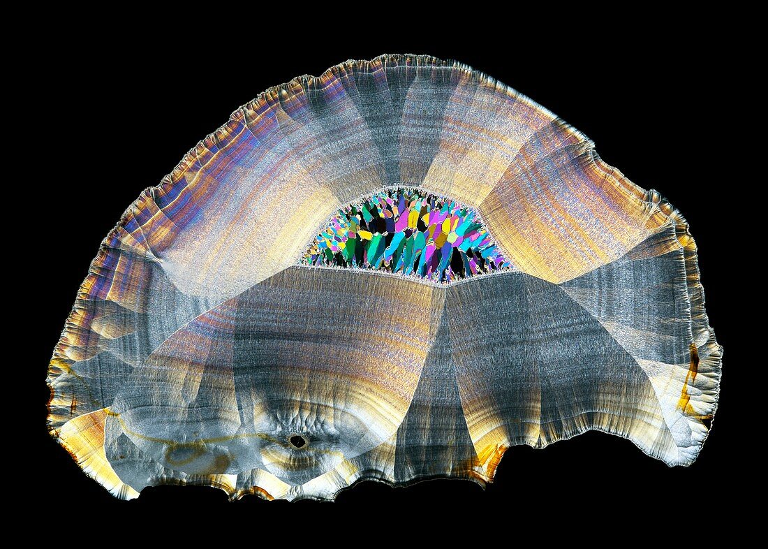 Geode, thin section micrograph