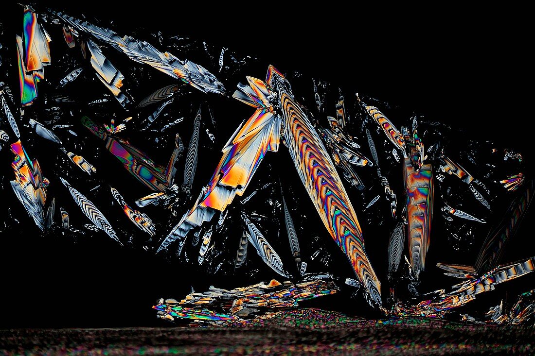 Metformin diabetes drug crystals, light micrograph