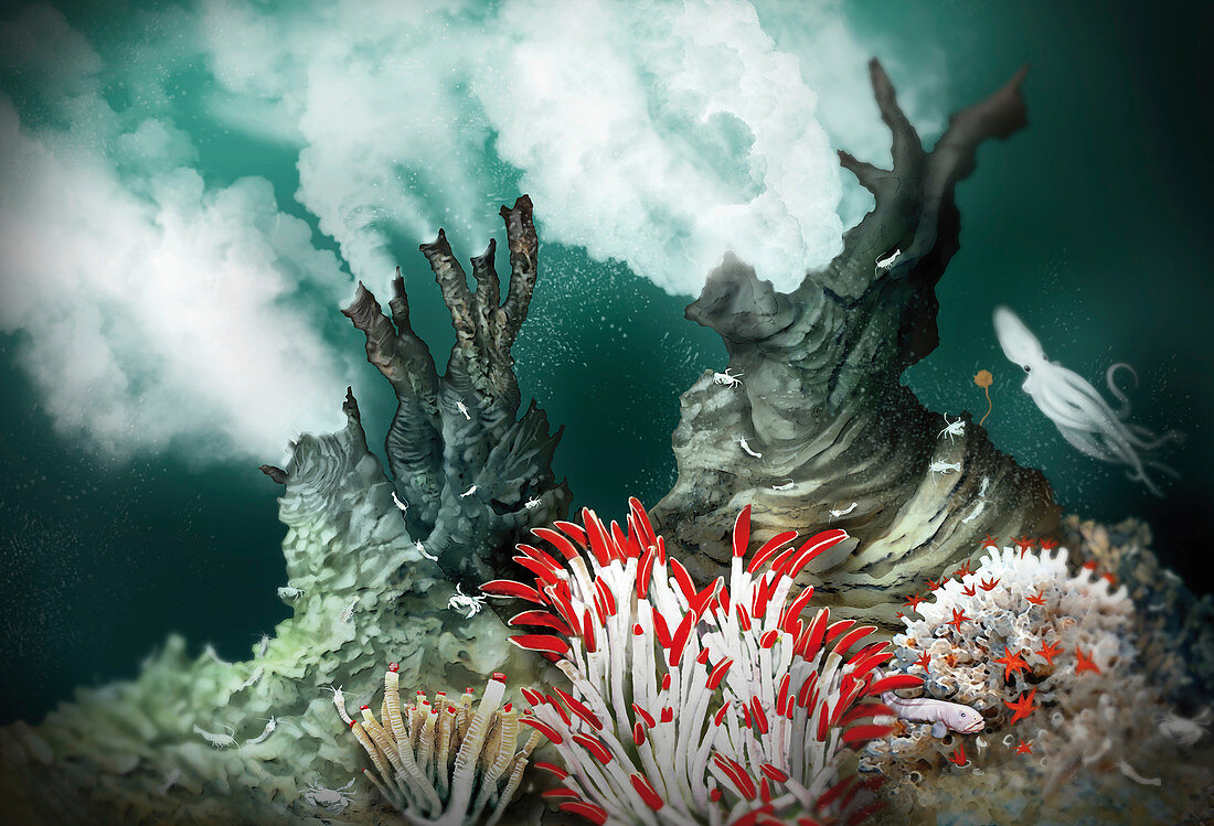 Black smoker hydrothermal vent, illustration