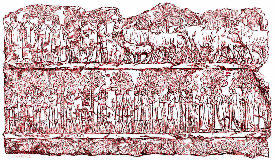 Ancient Assyrian bas relief, illustration