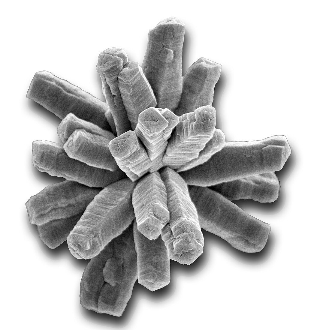 Calcium phosphate crystal, SEM