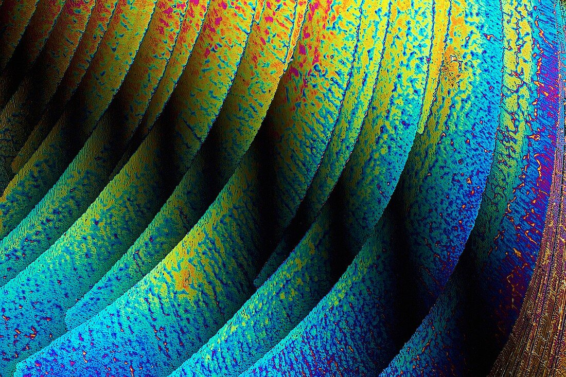 Urea crystals, light micrograph