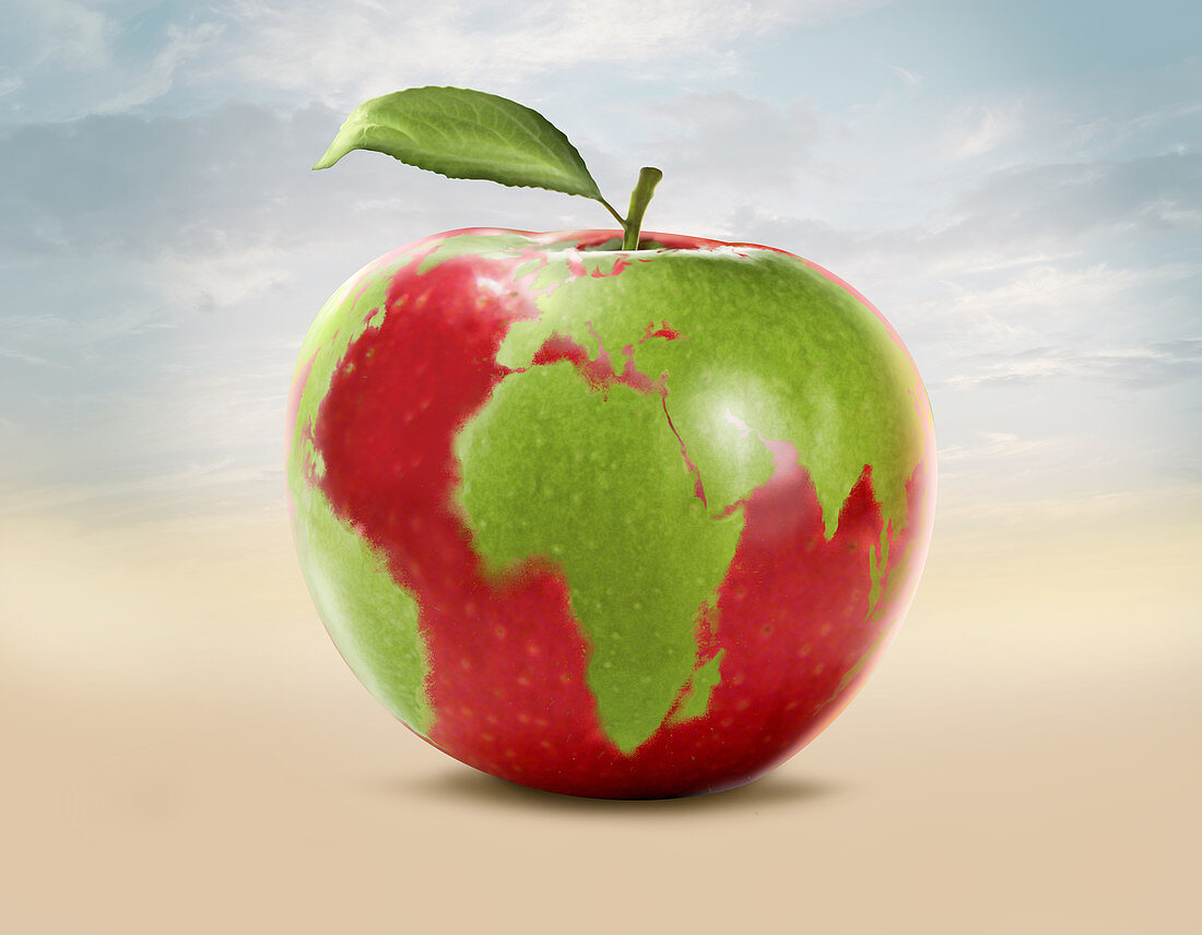 Illustration of an apple with world map