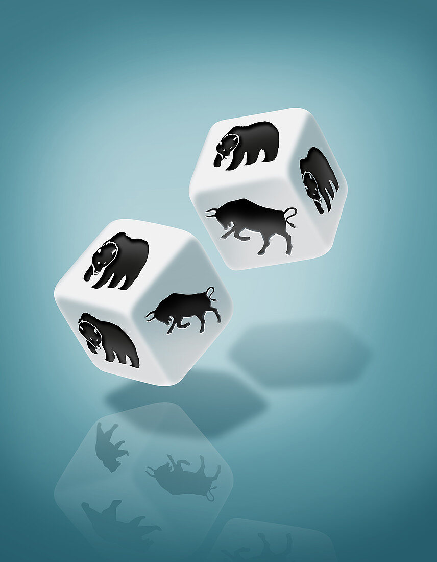 Illustration of dice with bull and bear print