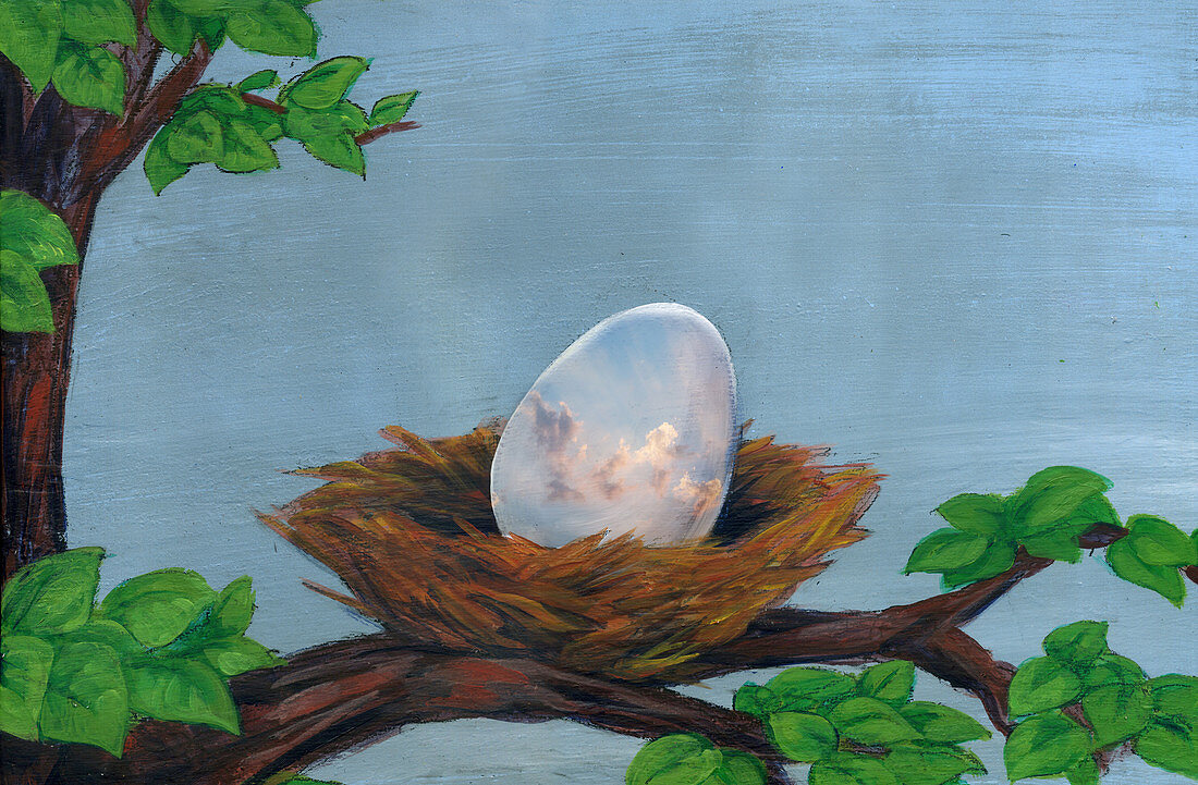 Illustration of egg in nest