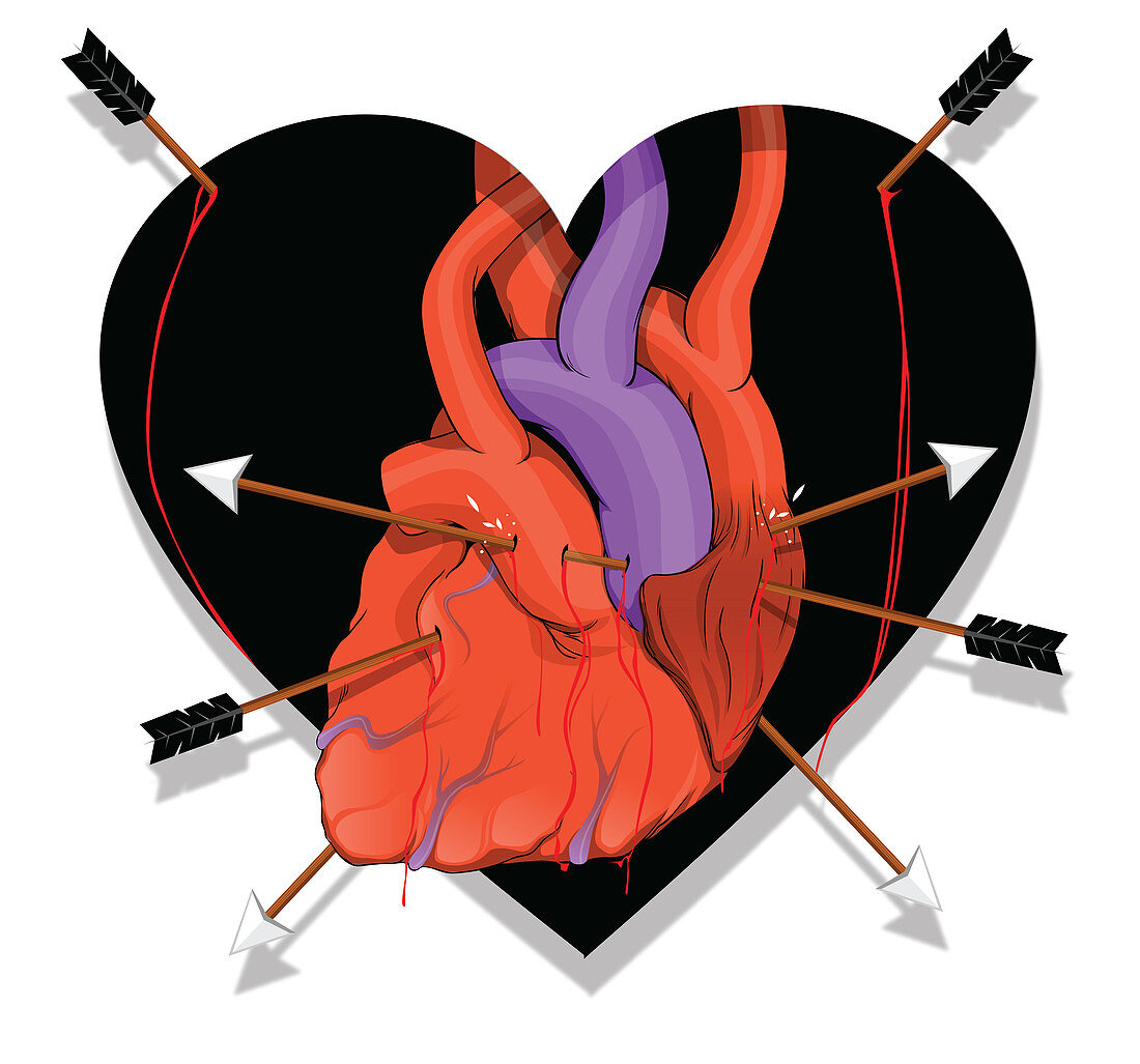 Illustration of heart with arrows