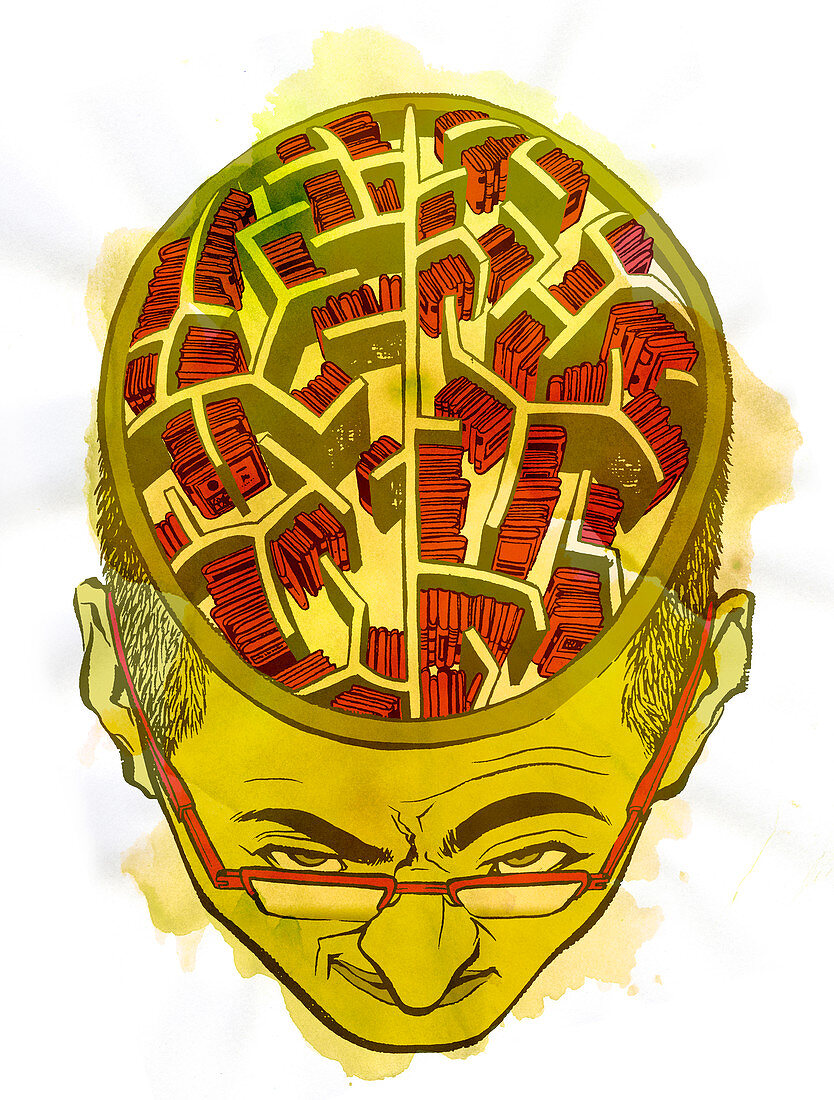 Illustration of human brain and knowledge