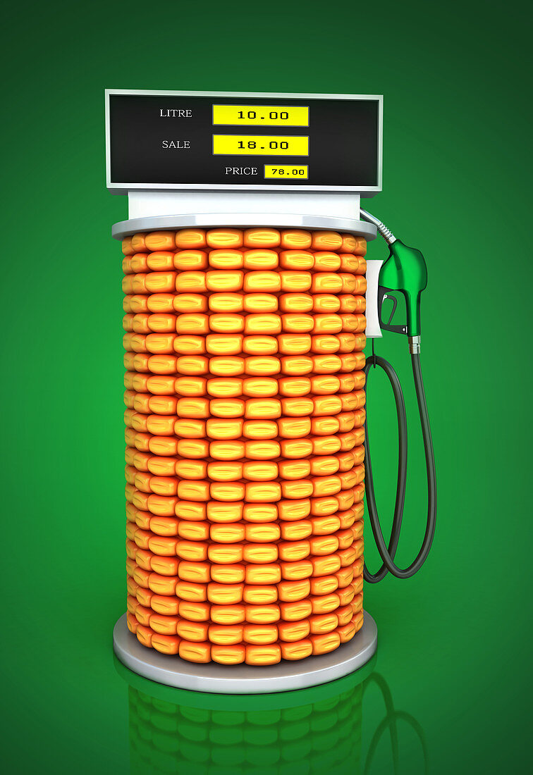 Illustration of corn fuel pump