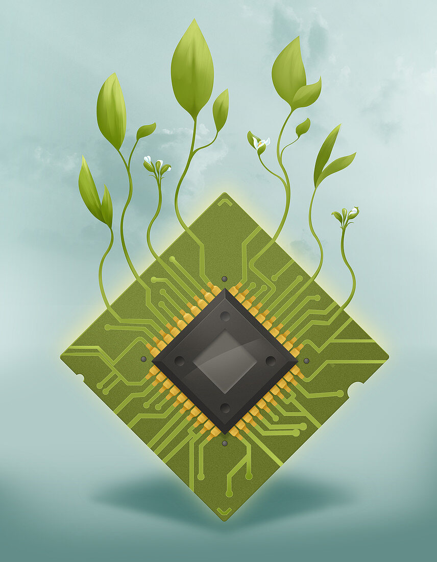 Illustration of plants growing on microchip