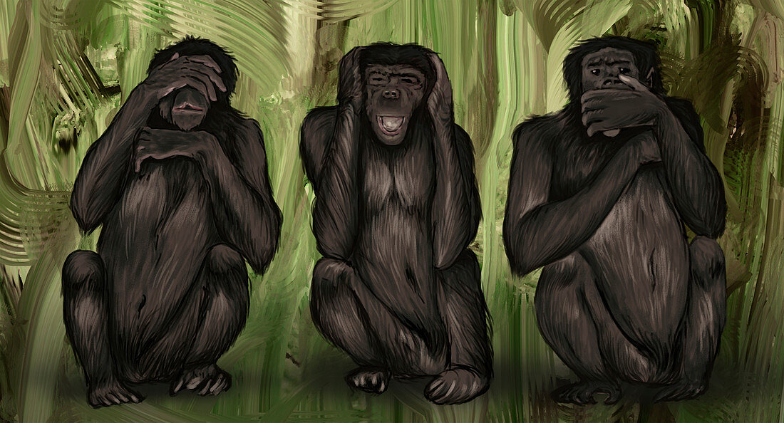 Illustration of three monkeys covering eyes, ears and mouth