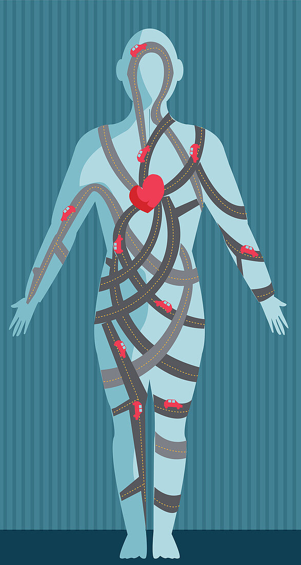 Illustration representing blood circulation