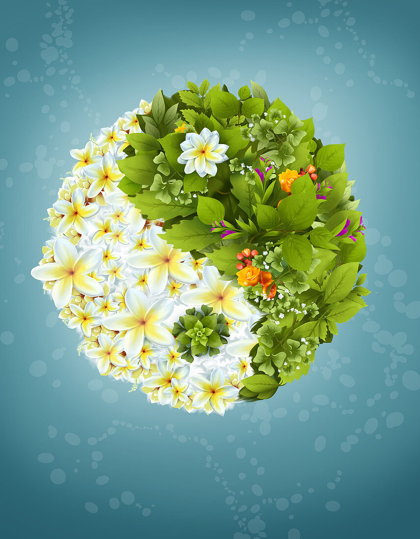 Illustration of leaves and flowers in yin yang symbol