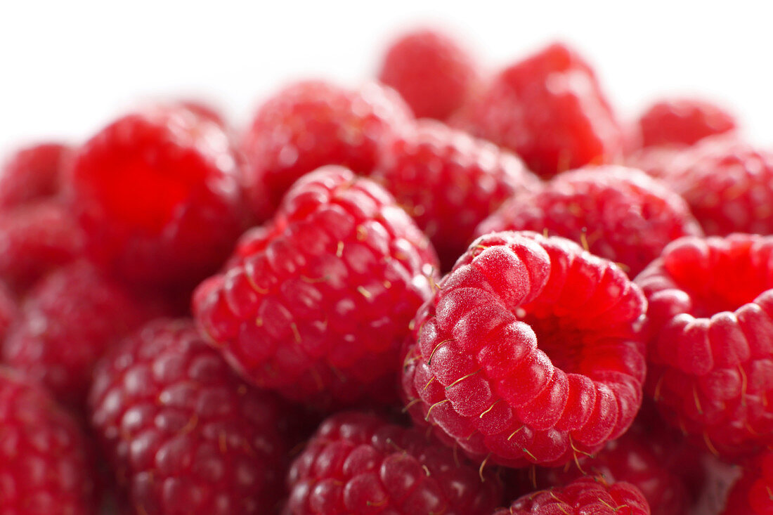 Raspberries, close up