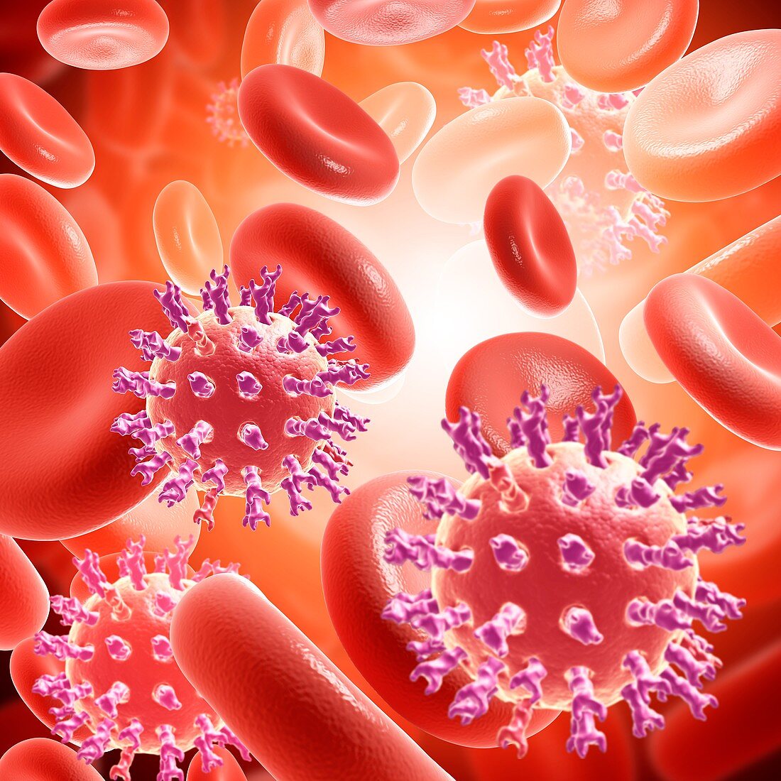 Rotaviruses in the bloodstream, illustration