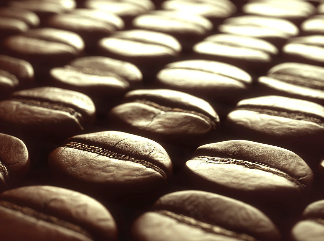 Coffee beans, close up