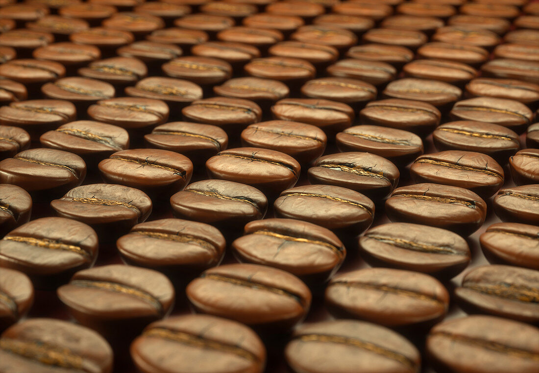 Coffee beans, close up