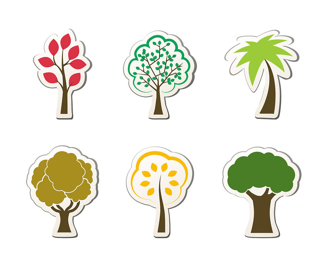 Trees, illustration