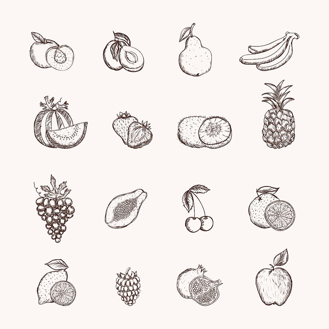 Fruits, illustration