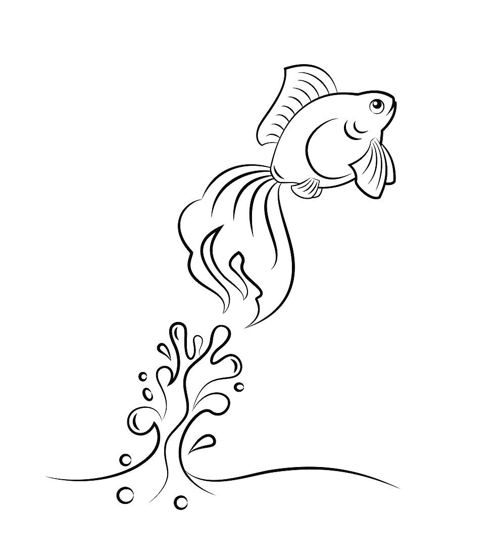 Goldfish jumping from water, illustration