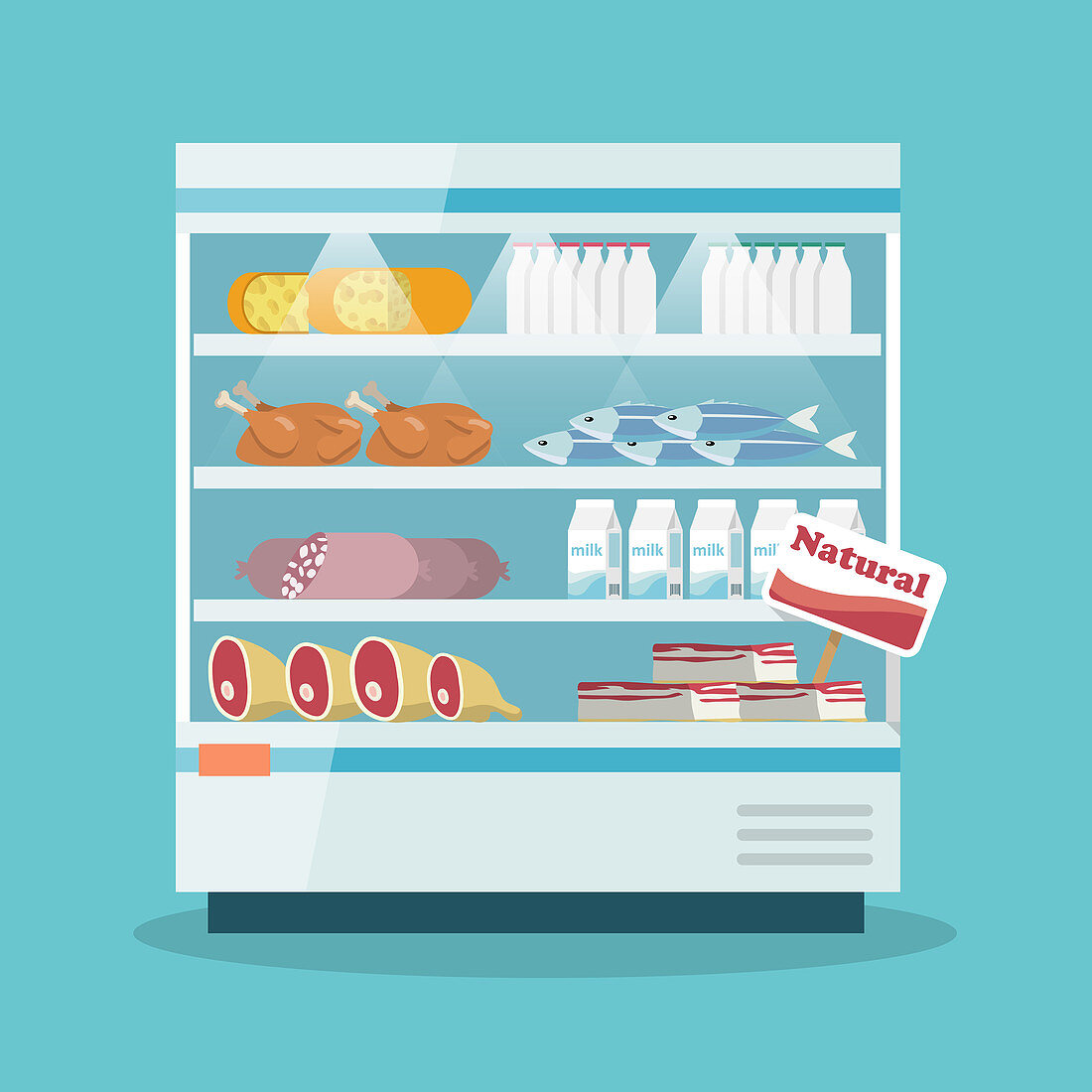 Refrigerated food cabinet, illustration