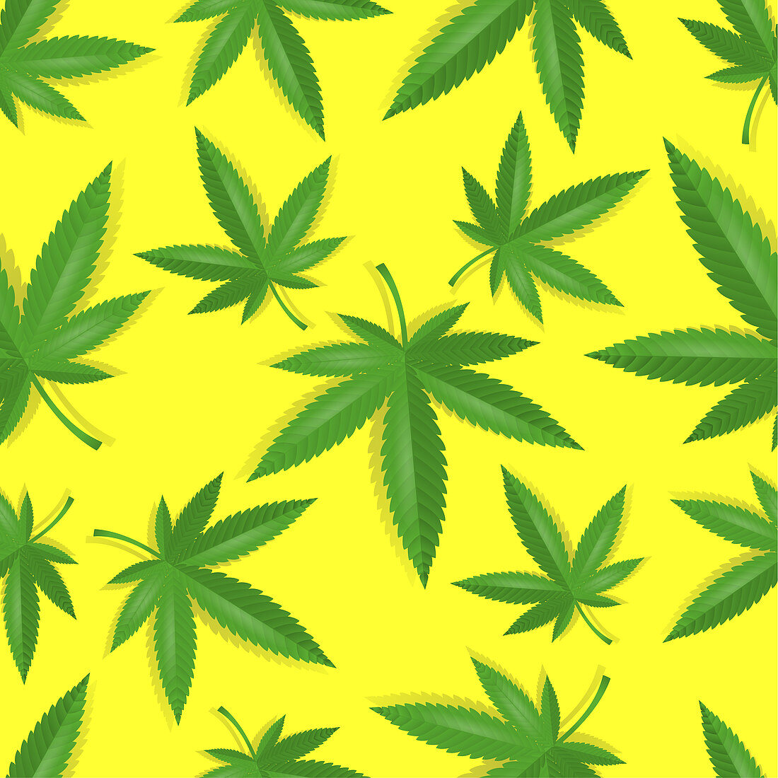 Cannabis leaves, illustration