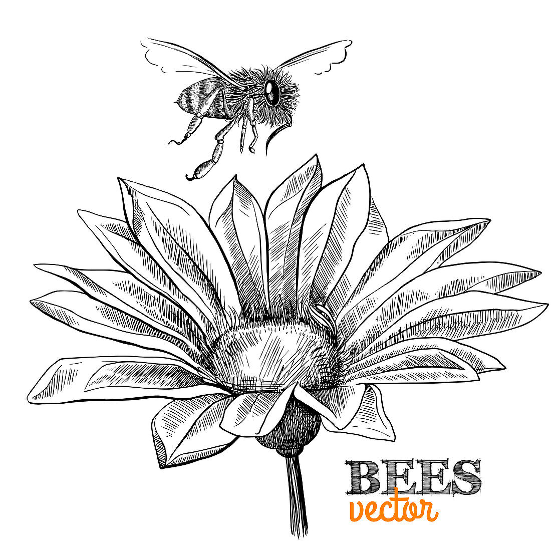 Bee and flower, illustration
