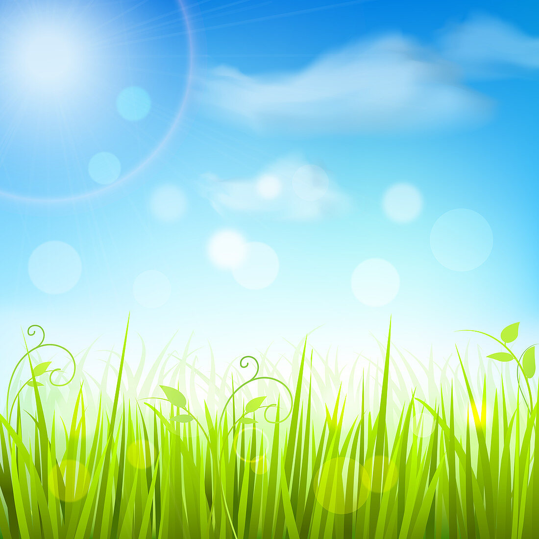 Grass and blue sky, illustration