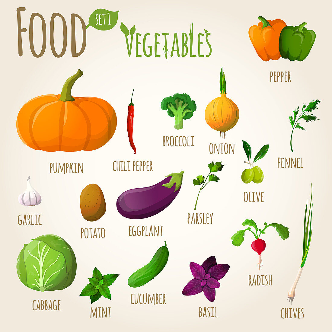 Vegetables, illustration