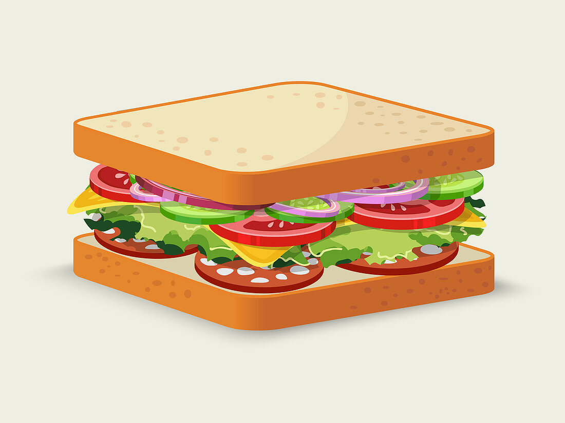 Salami sandwich, illustration